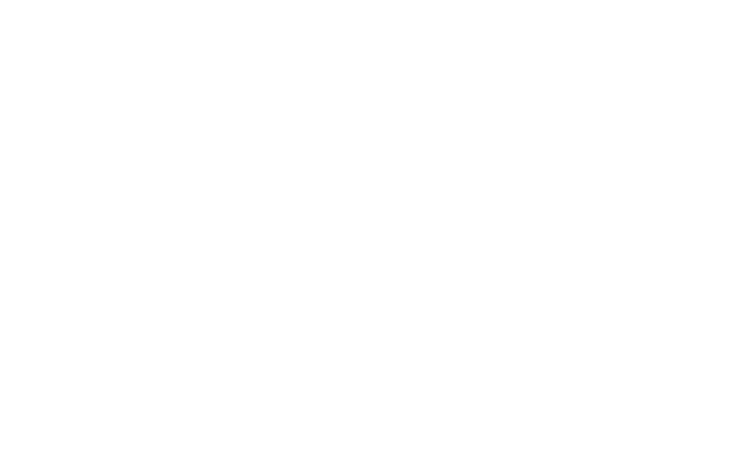 Customer satisfaction 95.25%